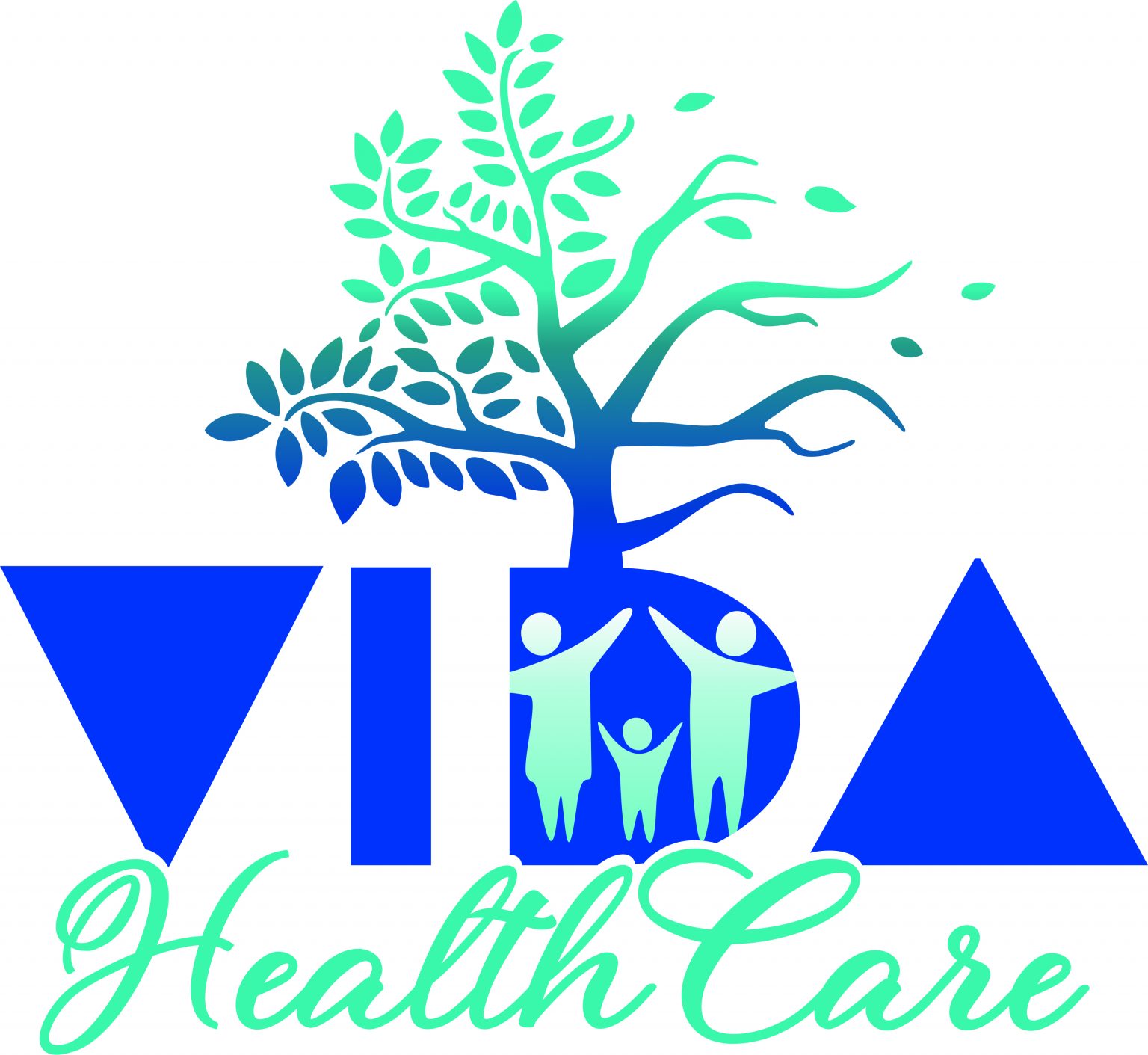 VidaHealthCare logo